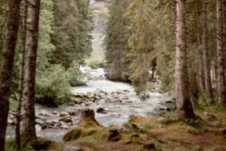Sample Photo Scan 2